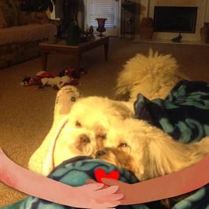 Meet your Posher, Rhonda